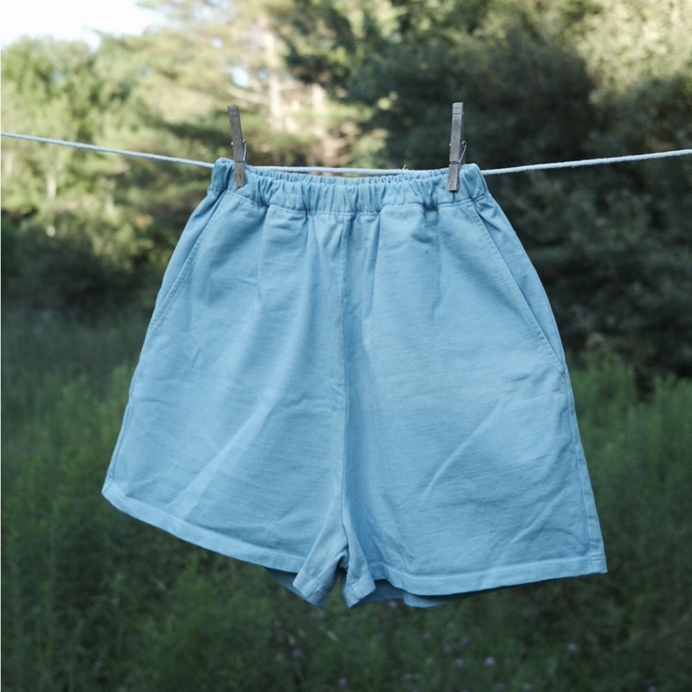 ISO Rudy Jude Sky Gardener Shorts in S or M!